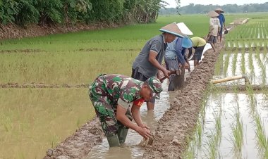 Sukseskan Ketahanan Pangan, Babinsa Bersama Petani Kerja Bakti Perbaiki Saluran Irigasi