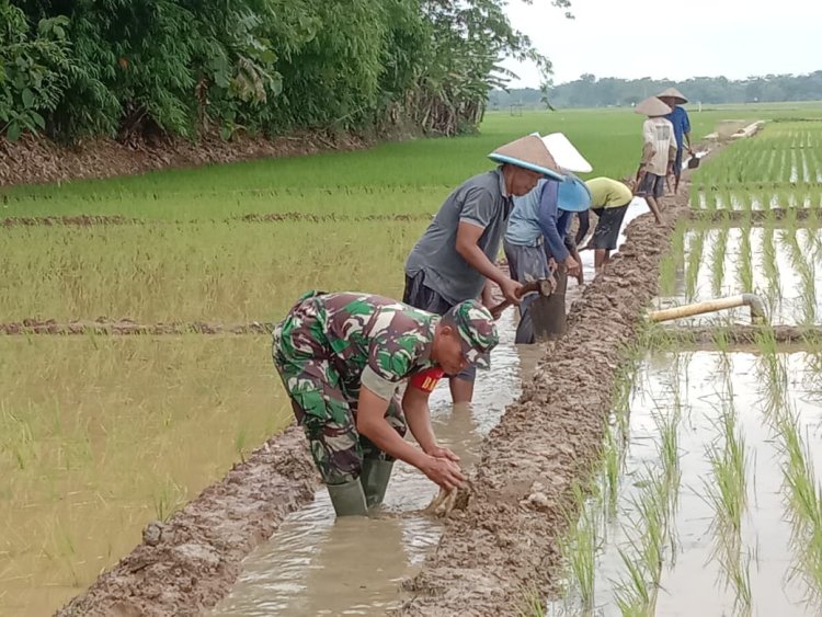 Sukseskan Ketahanan Pangan, Babinsa Bersama Petani Kerja Bakti Perbaiki Saluran Irigasi