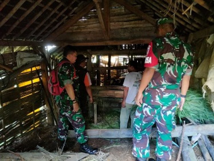 Koramil 11 Punggelan Melaksanakan Pendampingan Langsung Vaksin PMK