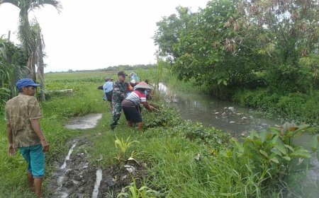 Cegah Banjir, Babinsa Koramil Dukuhturi Bersama Warga Gotong Royong Bersihkan Enceng Gondok