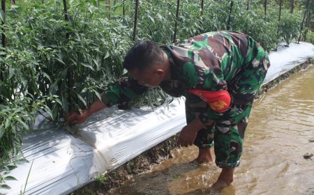 Babinsa Cilongok Kenalkan Produk Unggulan Diwilayah Binaan