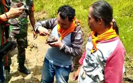 Tiga Fragmen Tanduk Kerbau Purba Ditemukan di Sungai Gintung Tonjong