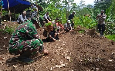 Babinsa Bersama Kelompok Tani Peduli Lingkungan Dengan Tanam Pohon