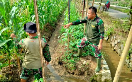 Anggota Kodim 0712 Tegal Lakukan Pengecekan Irigasi Tanaman Jagung