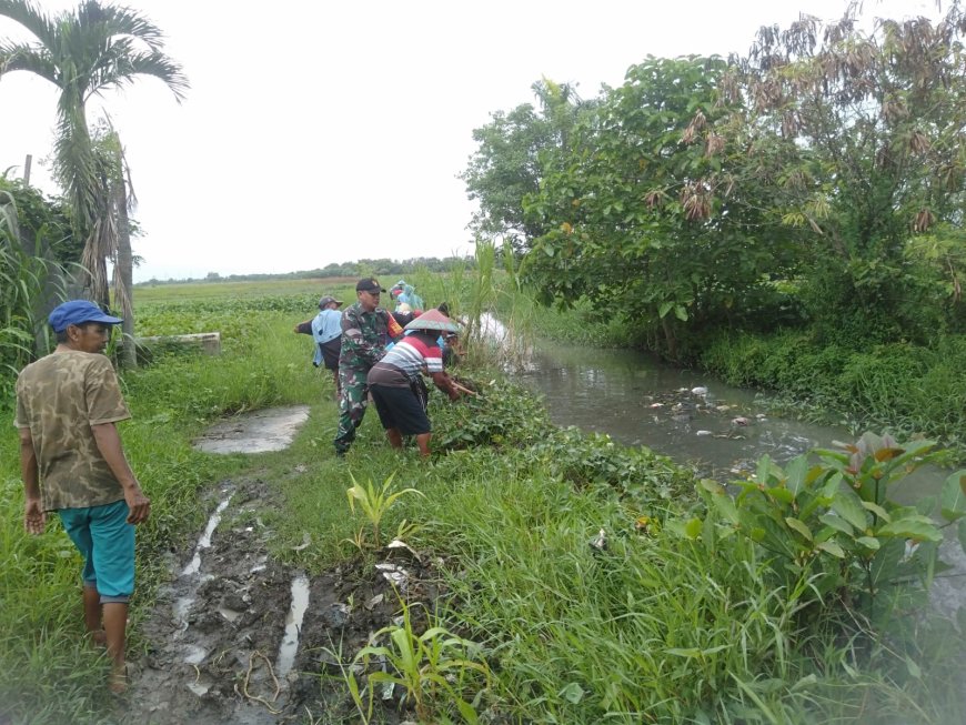 Cegah Banjir, Babinsa Koramil Dukuhturi Bersama Warga Gotong Royong Bersihkan Enceng Gondok