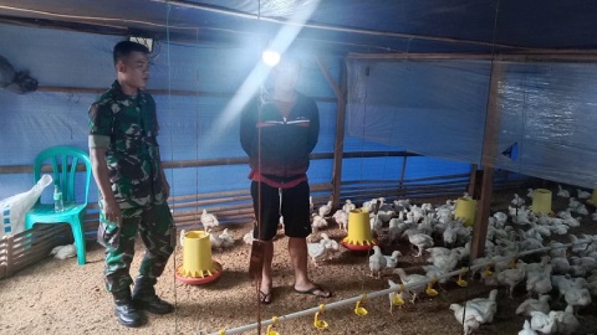 Babinsa Komsos Dengan Pemilik Peternakan Ayam Potong