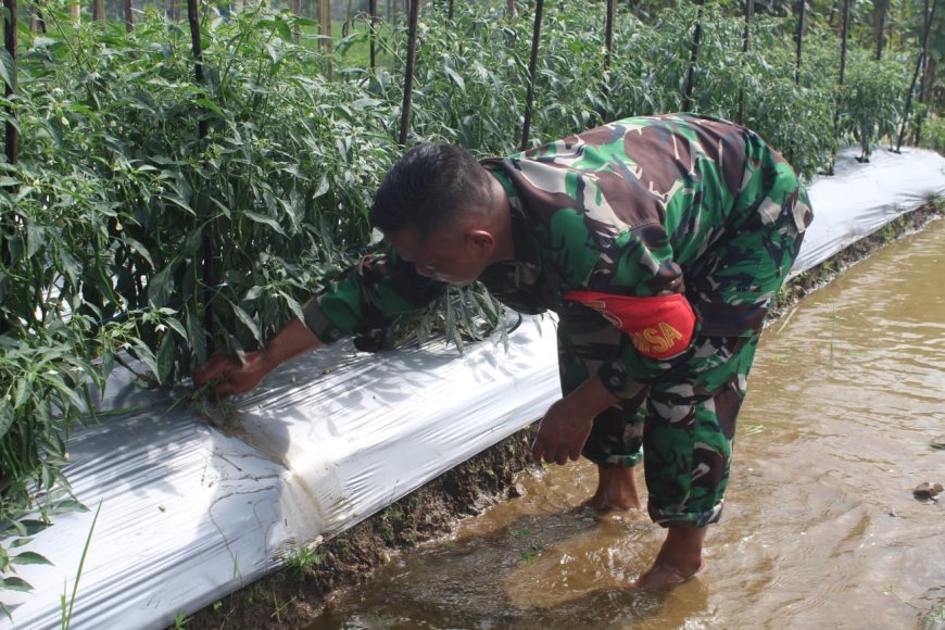 Babinsa Cilongok Kenalkan Produk Unggulan Diwilayah Binaan