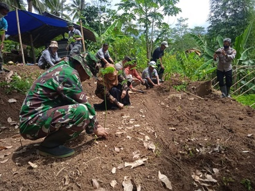 Babinsa Bersama Kelompok Tani Peduli Lingkungan Dengan Tanam Pohon