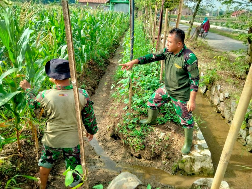 Anggota Kodim 0712 Tegal Lakukan Pengecekan Irigasi Tanaman Jagung