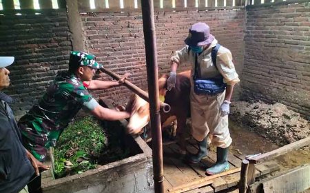 Cegah Penyakit mulut dan kuku