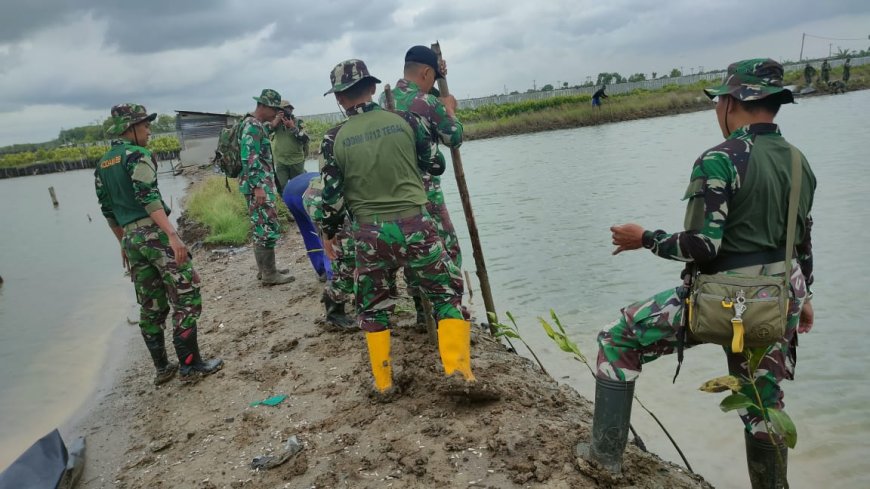 Atasi Abrasi, Kodim 0712 Tegal Seribu Dua Ratus Pohon Mangrove di Pantai Kedungkelor