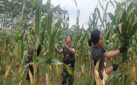 Program Unggulan Kodim 0704 Banjarnegara