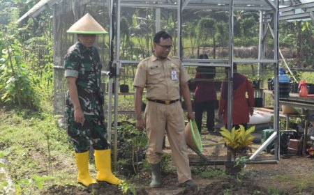 Kasdim 0712 Tegal Pimpin Tanam Jagung Di Lahan Ketahanan Pangan Kodim