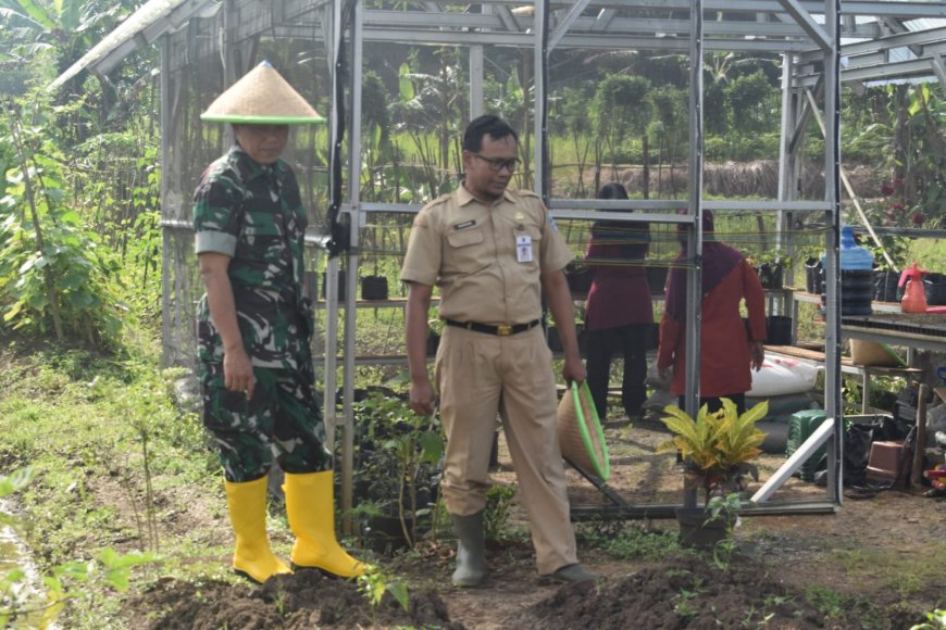 Kasdim 0712 Tegal Pimpin Tanam Jagung Di Lahan Ketahanan Pangan Kodim