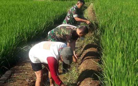 Pembersihan Saluran Irigasi Tersier oleh Babinsa dan Kelompok Tani Tiga Serangkai di Desa Binorong