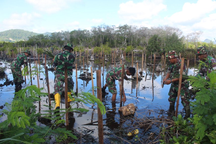 Cegah Erosi Dan Abrasi Pantai Kodim Jayapura Terus Canangkan Tanam Mangrove