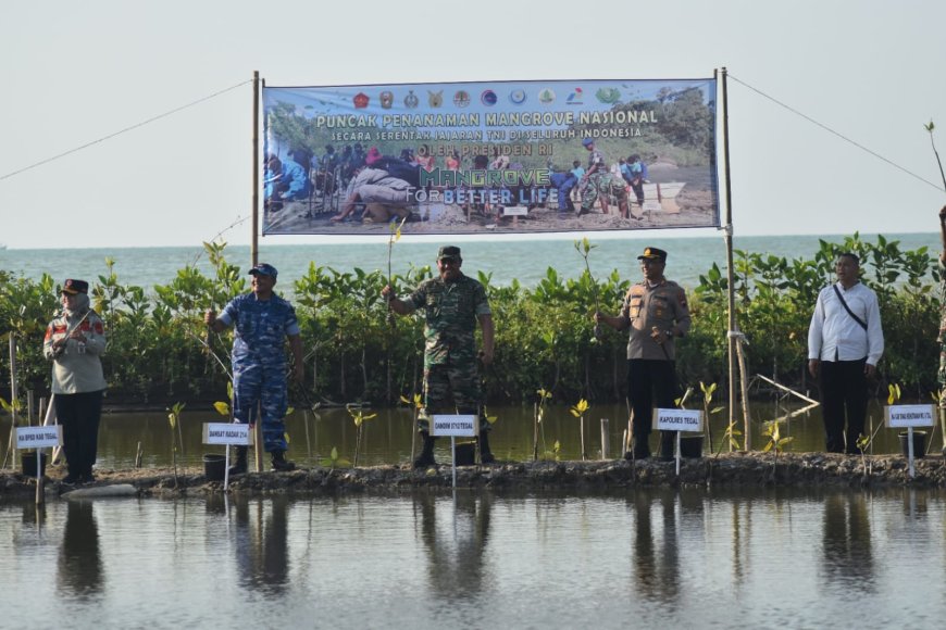 Dandim Tegal Ajak Masyarakat Menanam Mangrove Nasional Serentak Oleh Presiden