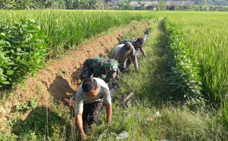 Upaya Bersama Babinsa dan Kelompok Tani dalam Membersihkan Saluran Irigasi