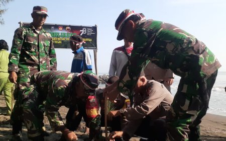 Peringati HUT Kemerdekaan RI ke-78, Kodim 0712 Tegal gelar Penghijauan