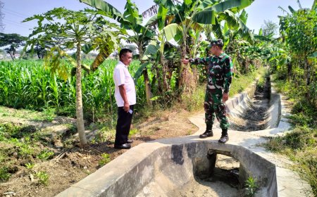 Babinsa Kodim 0712 Tegal Cek Irigasi Sawah.