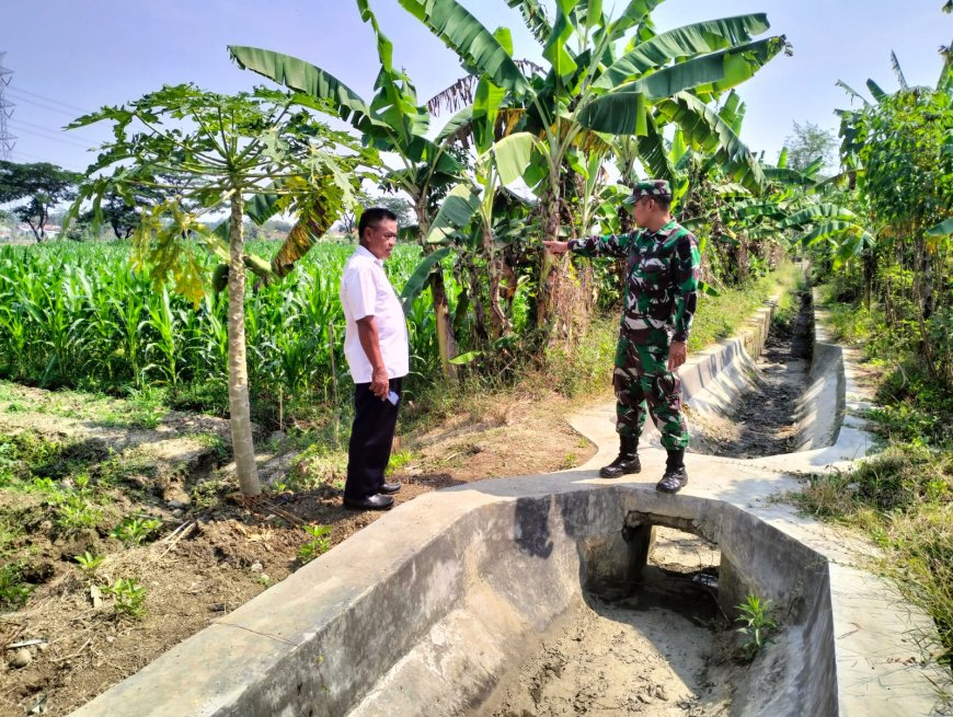 Babinsa Kodim 0712 Tegal Cek Irigasi Sawah.
