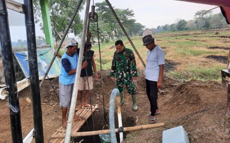 Anggota Kodim 0712 Tegal Siapkan Lahan Tanaman Jagung Masa Tanam Ke – 5