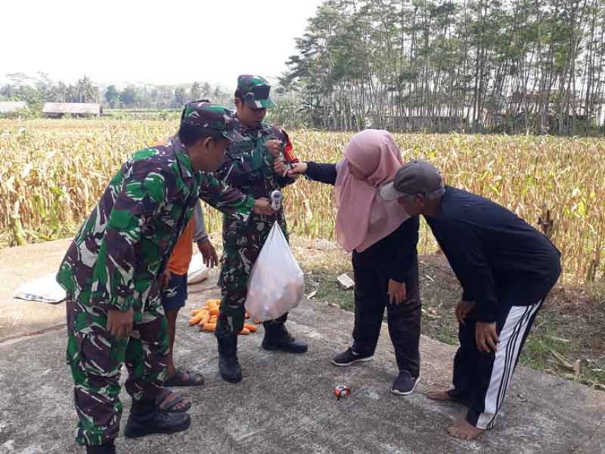 Pelajaran dari Ubinan Jagung Bisi 18 di Lahan Demplot Banjarnegara