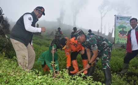 Peduli Lingkungan, Kodim 0712 Tegal Ikut Andil Dalam Gerakan Penghijauan Di Lereng Gunung Slamet