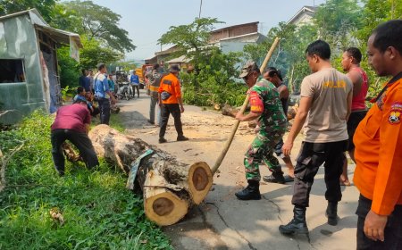 Gerak Cepat Babinsa Kedungbanteng Bersama Masyarakat Lakukan Pembersihan Pohon Tumbang