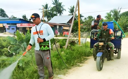 Basmi Gulma, Babinsa Skanto Bersama Aparat Kampung Semprotkan Herbisida