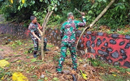 Gerak Cepat Babinsa Japut Bersihkan Pohon Tumbang Yang Menutup Jalan Raya