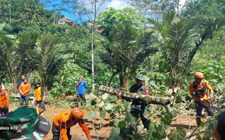 Akibat Hujan Deras Tebing Longsor Menutup Jalan Provinsi Banjarnegara-Pekalongan