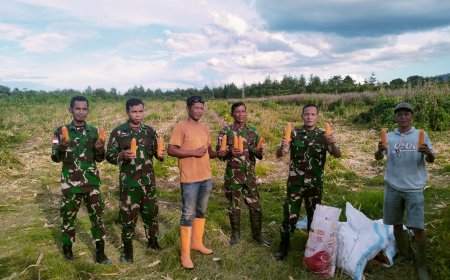 Transformasi Lahan Tidur Menjadi Lahan Basah Inovasi Kodim Jayapura Wujudkan Ketahanan Pangan