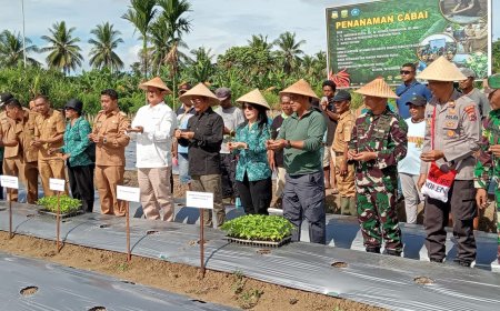 Kendalikan Laju Inflasi Dandim Jayapura Dampingi Pj Gubernur Papua Tanam dan Panen Cabai