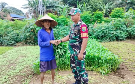 Perkuat Harmonisasi Dengan Warga Babinsa Sentani Komunikasi Sosial Bersama Petani Lokal