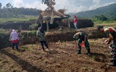 Babinsa Koramil Bumijawa Bantu Warga Tanam Jagung