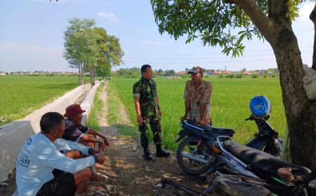 Disela Komsos, Babinsa Talang Pantau Saluran Irigasi Di Desa Binaan