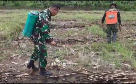 Pasca Panen, Kodim Tegal Siapkan Kembali Lahan Ketahanan Pangan
