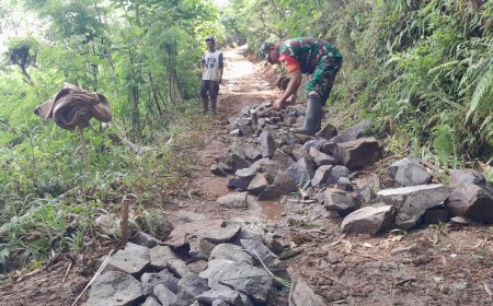 Kerja Bakti Babinsa dan Warga Memakadam Jalan Usaha Tani