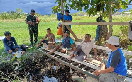 Sukseskan Ketahanan Pangan Wilayah Babinsa Sentani Pendampingan Kelompok Tani Siloam