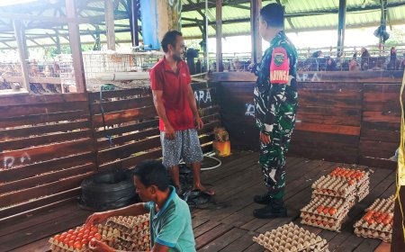 Babinsa Arso Himbau Peternak Ayam Petelur Minimalisir Pencemaran Lingkungan