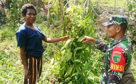 Semangat Dan Kerja Keras Kunci Kesuksesan Babinsa Waris Motivasi Petani Vanili