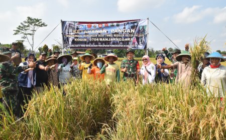 Dandim Banjarnegara Panen Raya di Gumiwang