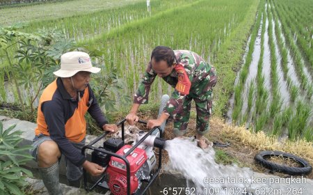 Dukung Program Ketahanan Pangan, Babinsa Koramil Pangkah Damping Program Pompanisasi Lahan Pertanian