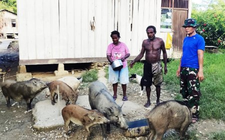 Semangat Gotong Royong Satgas TMMD Reguler Ke-120 Kodim Jayapura Bersama Pemuda Turunkan Keramik