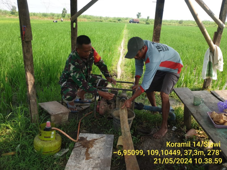 Dukung Program Ketahanan Pangan, Babinsa Koramil 14 Slawi Kodim Tegal Dampingi Pompanisasi