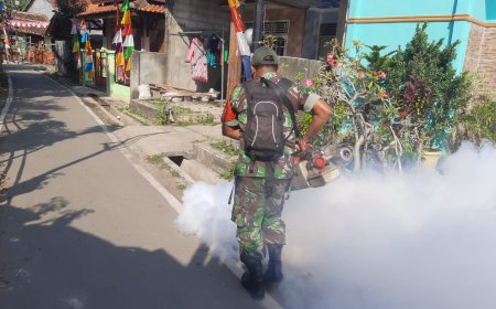 Babinsa Kodim Tegal Basmi Penyebaran Nyamuk DBD