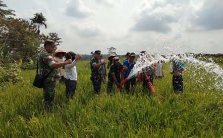 Danramil Susukan dan Warga Binaan Laksanakan Pompanisasi di Sawah Tadah Hujan