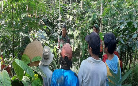 Danramil 17 Wanayasa Dialog Santai dengan Petani Kopi di Kebun Warga