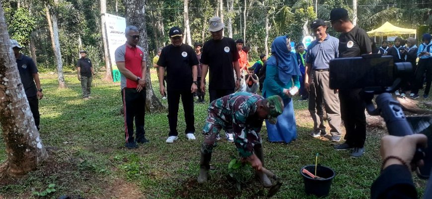 Danramil Bawang dan Forkompimcam Gelar Penghijauan Lingkungan